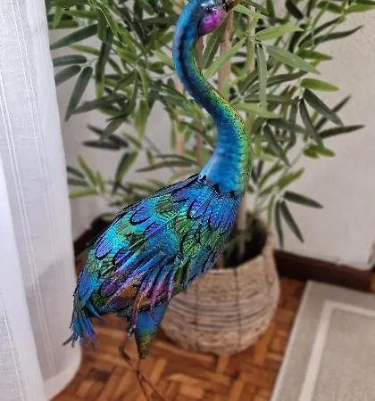 Appartamento El Capricho De Ezcurdia - 6 Pax - Vut-3878-as Gijón