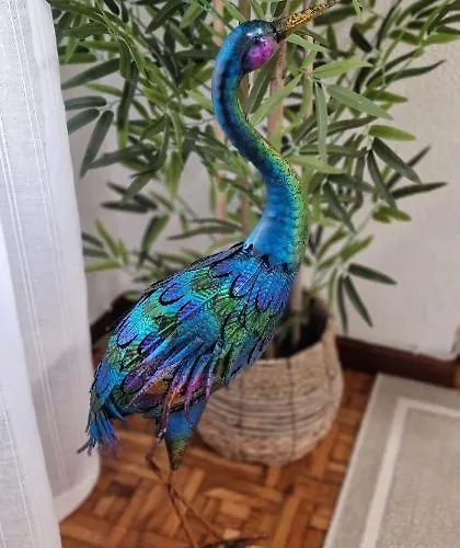 Апартаменты El Capricho De Ezcurdia - 6 Pax - Vut-3878-as Хихон